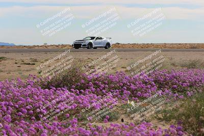 media/Jan-08-2023-SCCA SD (Sun) [[8f6a5b9391]]/Advanced Group/Session 2 (Short Straight)/